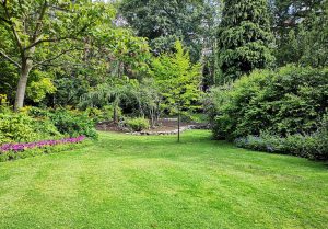 Optimiser l'expérience du jardin à Vaudrecourt
